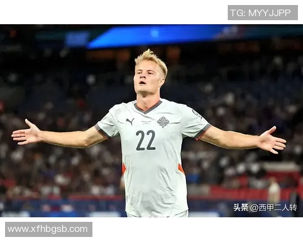 冰岛足球队最新球员名单解析及实力分析